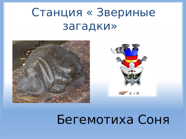  Станция « Звериные загадки» Бегемотиха Соня 