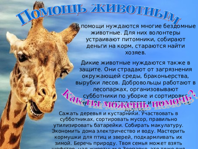 В помощи нуждаются многие бездомные животные. Для них волонтеры устраивают питомники, собирают деньги на корм, стараются найти хозяев. Дикие животные нуждаются также в защите. Они страдают от загрязнения окружающей среды, браконьерства, вырубки лесов. Добровольцы работают в лесопарках, организовывают субботники по уборке и сортировке мусора, очистки лесов и рек и многое другое. Сажать деревья и кустарники. Участвовать в субботниках, сортировать мусор, правильно утилизировать батарейки. Собирать макулатуру. Экономить дома электричество и воду. Мастерить кормушки для птиц и зверей, подкармливать их зимой. Беречь природу. Твоя семья может взять шефство над животным в Зоопарке, это тоже вид волонтерства. 