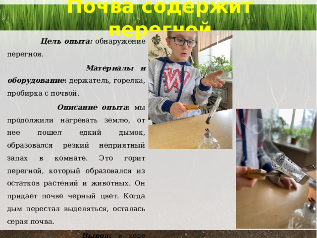 Почва содержит перегной    Цель опыта: обнаружение перегноя.  Материалы и оборудование : держатель, горелка, пробирка с почвой.  Описание опыта : мы продолжили нагревать землю, от нее пошел едкий дымок, образовался резкий неприятный запах в комнате. Это горит перегной, который образовался из остатков растений и животных. Он придает почве черный цвет. Когда дым перестал выделяться, осталась серая почва.  Вывод: в ходе экспериментальной работы мы убедились, в почве содержится перегной, состоящий из остатков живых организмов. 