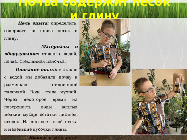 Почва содержит песок и глину    Цель опыта: определить, содержит ли почва песок и глину.  Материалы и оборудование: стакан с водой, почва, стеклянная палочка.  Описание опыта: в стакан с водой мы добавили почву и размешали стеклянной палочкой. Вода стала мутной. Через некоторое время на поверхность воды всплыл мелкий мусор: остатки листьев, иголок. На дно осел слой песка и маленькие кусочки глины.  Вывод: в результате опыта мы убедились, в почве содержится песок, глина, различный природный мусор. 