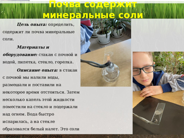 Почва содержит минеральные соли  Цель опыта: определить, содержит ли почва минеральные соли.  Материалы и оборудование:  стакан с почвой и водой, пипетка, стекло, горелка.  Описание опыта: в стакан с почвой мы налили воды, размешали и поставили на некоторое время отстояться. Затем несколько капель этой жидкости поместили на стекло и подержали над огнем. Вода быстро испарилась, а на стекле образовался белый налет. Это соли – основа плодородия почвы.  Вывод: в результате опыта мы убедились, что в почве содержатся минеральные соли. 