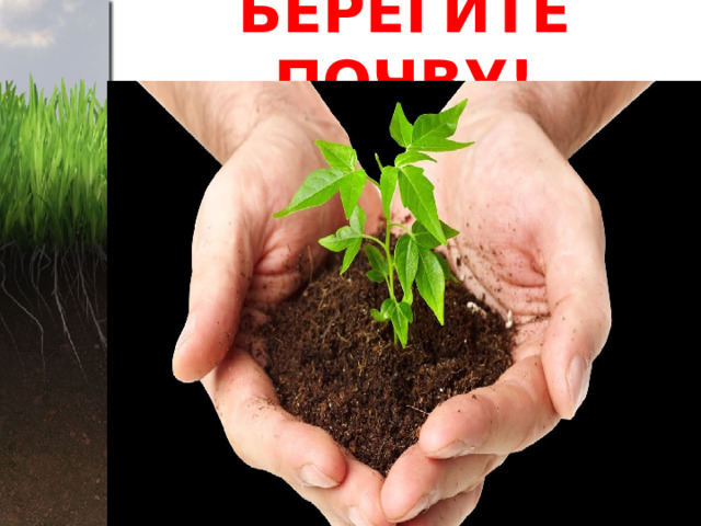 БЕРЕГИТЕ ПОЧВУ! 