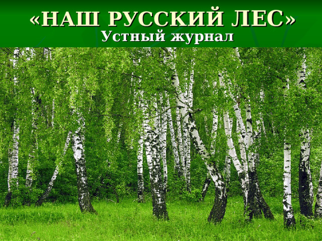 «НАШ РУССКИЙ ЛЕС » Устный журнал 