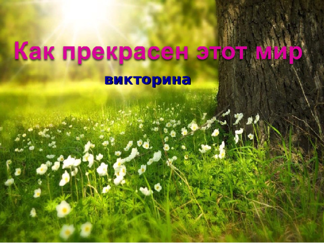 викторина 