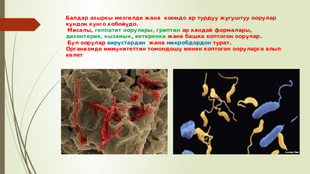 Балдар азыркы мезгилде жана коомдо ар турдуу жугуштуу оорулар кундон кунго кобойудо.  Мисалы, геппатит оорулары, гриптин ар кандай формалары, дизентерия, кызамык , ветерянка жана башка коптогон оорулар.  Бул оорулар вирустардан жана микробдордон турат.  Организмде иммунитеттин томондошу менен коптогон ооруларга алып келет 