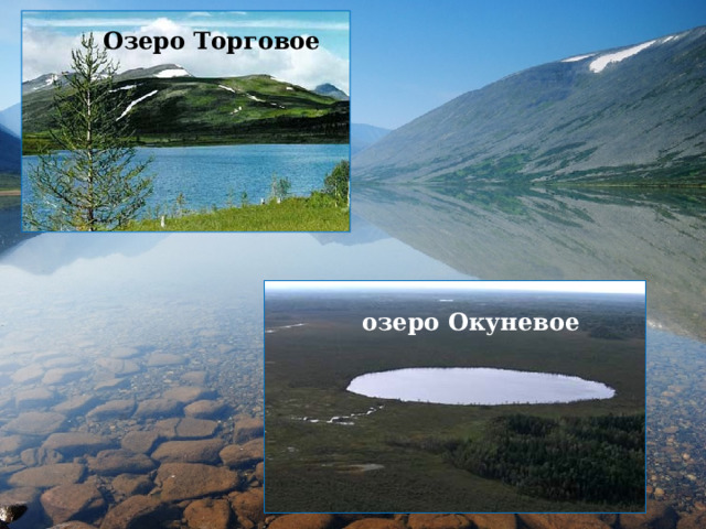 Озеро Торговое озеро Окуневое 
