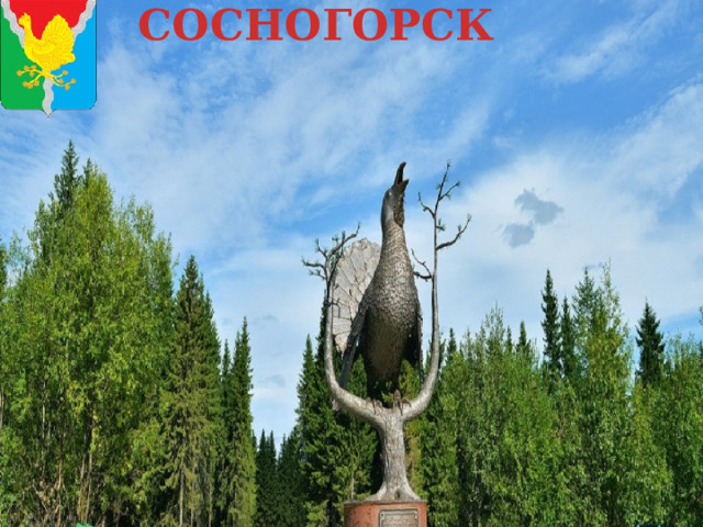 СОСНОГОРСК 