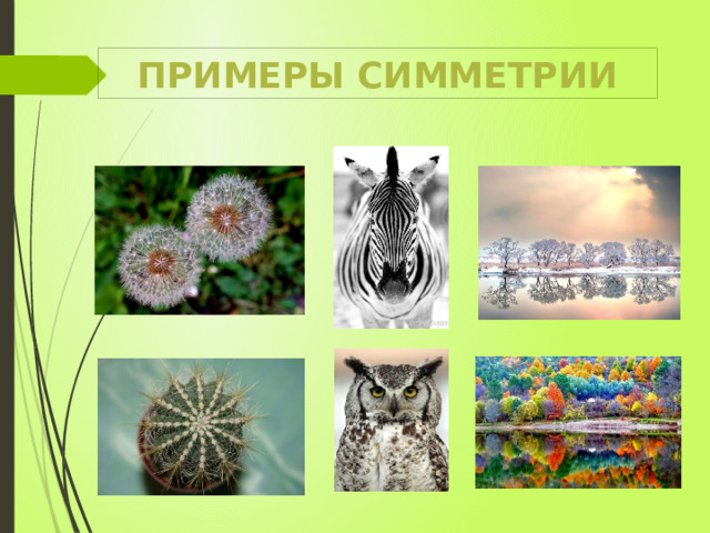 Примеры симметрии 