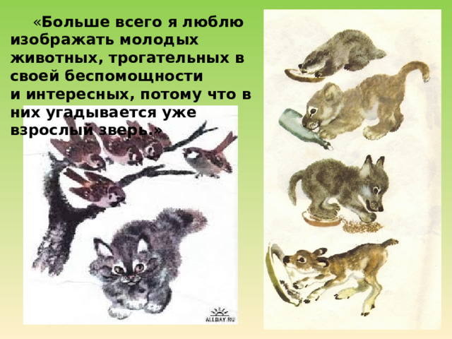  « Больше всего я люблю изображать молодых животных, трогательных в своей беспомощности и интересных, потому что в них угадывается уже взрослый зверь.» 