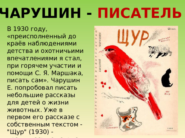 ЧАРУШИН - ПИСАТЕЛЬ В 1930 году,  «преисполненный до краёв наблюдениями детства и охотничьими впечатлениями я стал, при горячем участии и помощи С. Я. Маршака, писать сам». Чарушин Е. попробовал писать небольшие рассказы для детей о жизни животных . Уже в первом его рассказе с собственным текстом - 