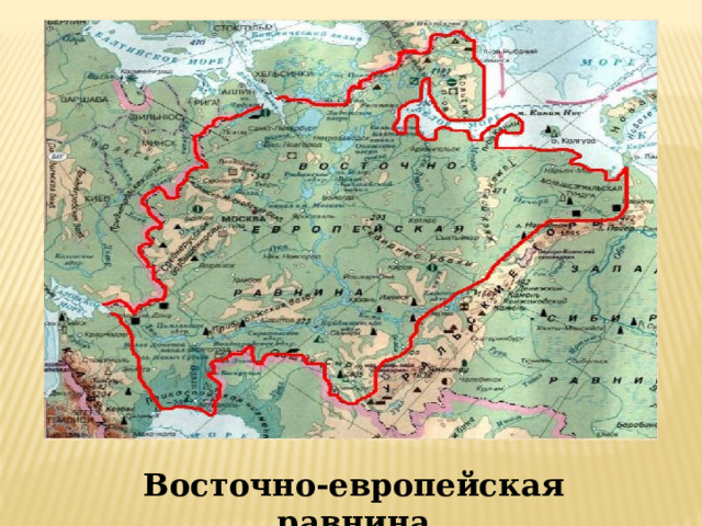 Восточно-европейская равнина 