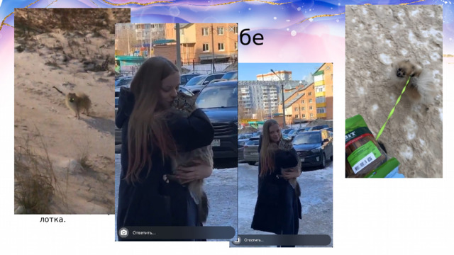 Гуляют сами по себе Собака: «Мы любим друг друга — мы лучшие друзья — нам так нравится гулять вместе — поиграй со мной». Кошка: «Уходи. Вернись. Ты мне нравишься. Отпусти меня. Дай вкусняшку. Уходи». В каждой шутке есть доля шутки. Всё остальное основано на реальных событиях и даже научно объяснимо. Собаки — члены стаи, и в своём владельце видят родителя, друга и вожака в одном лице. Кошки же по природе своей являются одиночными животными, — но это не мешает им ждать от владельца вкусного корма и свежего лотка. 