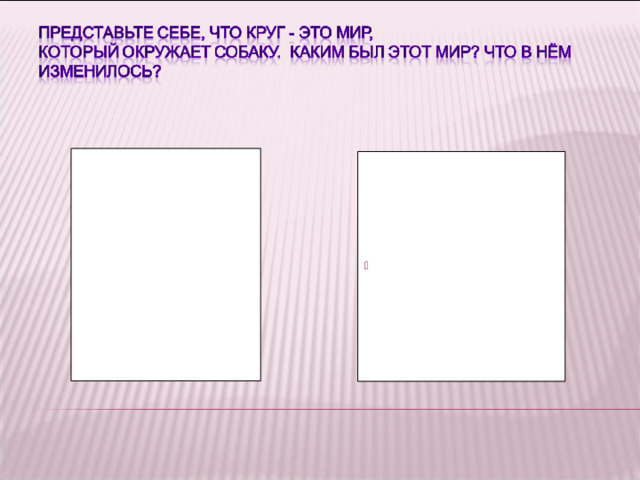   