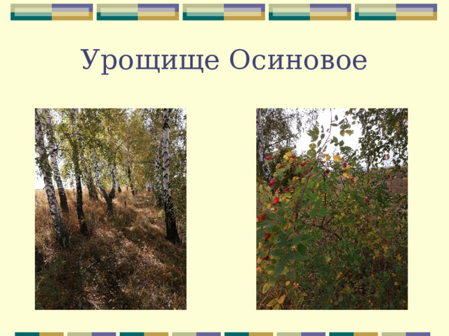 Урощище Осиновое 