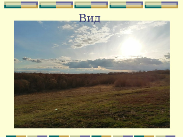 Вид 