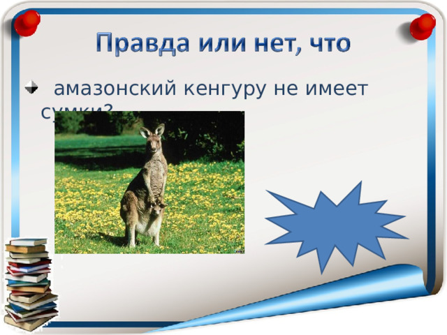  амазонский кенгуру не имеет сумки? неправда  