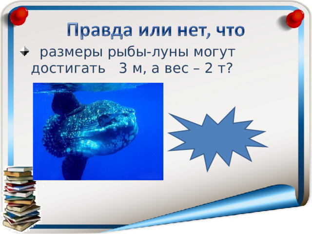  размеры рыбы-луны могут достигать 3 м, а вес – 2 т? правда 