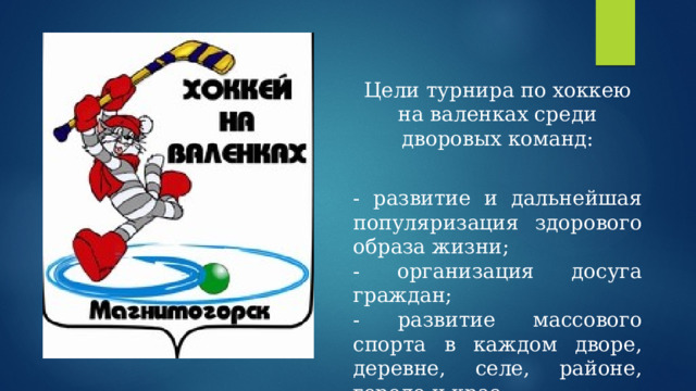 Цели турнира по хоккею на валенках среди дворовых команд: - развитие и дальнейшая популяризация здорового образа жизни; - организация досуга граждан; - развитие массового спорта в каждом дворе, деревне, селе, районе, городе и крае. 