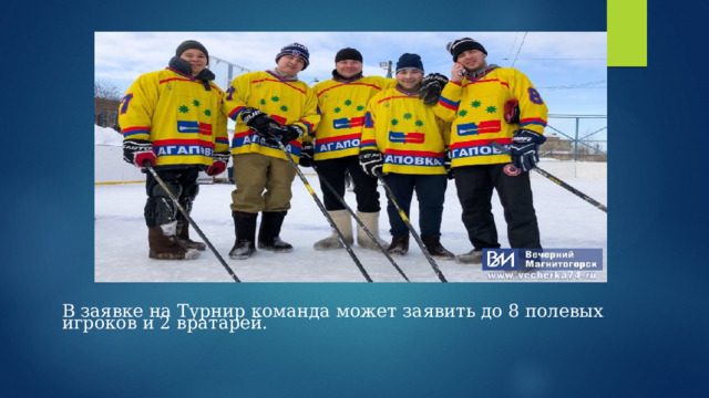 В заявке на Турнир команда может заявить до 8 полевых игроков и 2 вратарей. 