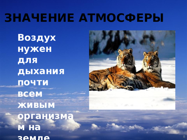 ЗНАЧЕНИЕ АТМОСФЕРЫ Воздух нужен для дыхания почти всем живым организмам на земле   