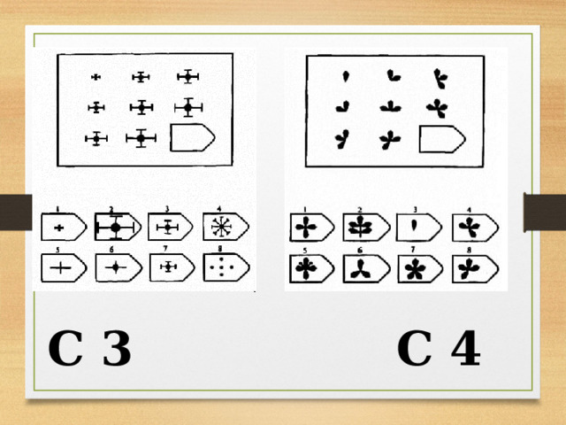  C 3 C 4 