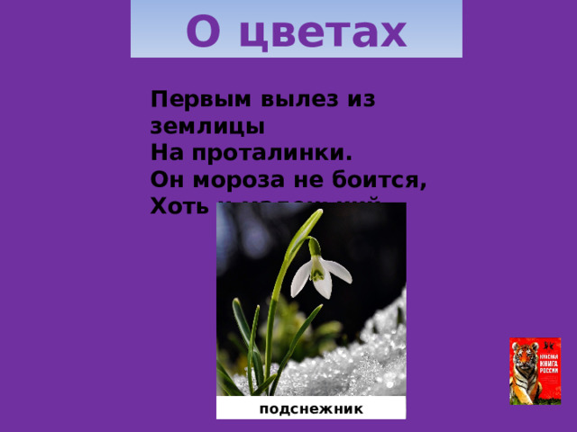 О цветах Первым вылез из землицы  На проталинки.  Он мороза не боится,  Хоть и маленький.  подснежник 