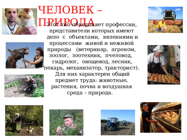 Человек – природа Этот тип объединяет профессии, представители которых имеют  дело с объектами, явлениями и процессами живой и неживой  природы (ветеринар, агроном, зоолог, зоотехник, пчеловод,  гидролог, овощевод, лесник, пекарь, механизатор, тракторист).  Для них характерен общий предмет труда: животные, растения, почва и воздушная среда – природа. 