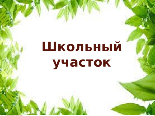 Школьный участок Школьный участок  