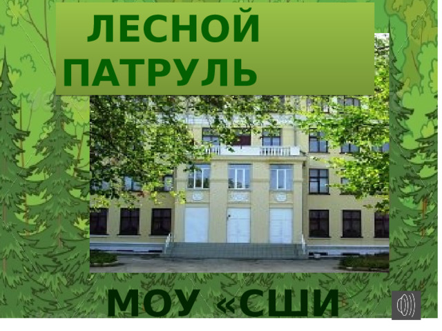  ЛЕСНОЙ ПАТРУЛЬ МОУ «СШИ №2» 