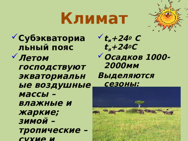 Климат Субэкваториальный пояс Летом господствуют экваториальные воздушные массы – влажные и жаркие; зимой – тропические – сухие и жаркие t и +24 0 С t я +24 0 С Осадков 1000-2000мм  Выделяются сезоны: сезон дождей - лето сезон засухи -зима 