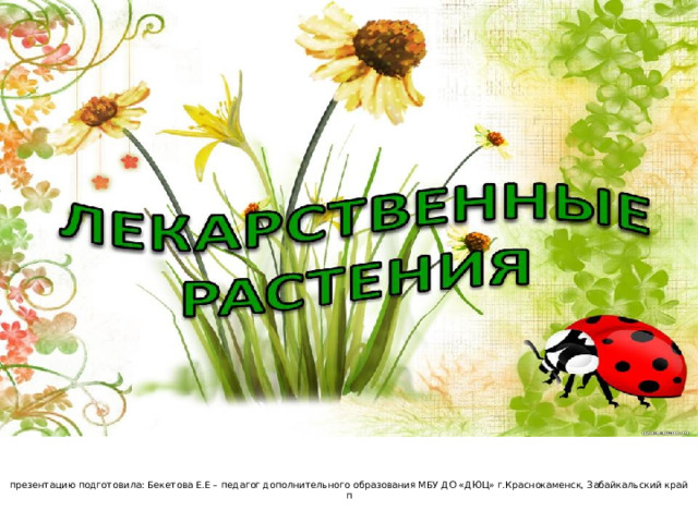  презентацию подготовила: Бекетова Е.Е – педагог дополнительного образования МБУ ДО «ДЮЦ» г.Краснокаменск, Забайкальский край  п 