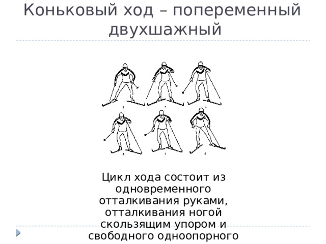 Коньковый ход – попеременный  двухшажный Цикл хода состоит из одновременного отталкивания руками, отталкивания ногой скользящим упором и свободного одноопорного скольжения. 