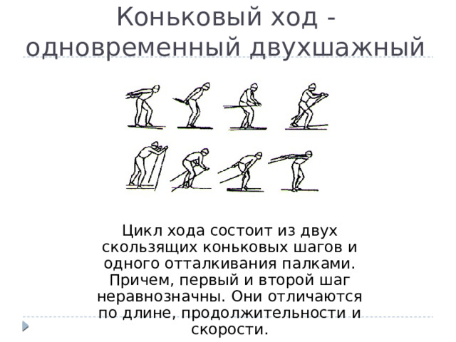 Коньковый ход - одновременный двухшажный Цикл хода состоит из двух скользящих коньковых шагов и одного отталкивания палками. Причем, первый и второй шаг неравнозначны. Они отличаются по длине, продолжительности и скорости. 