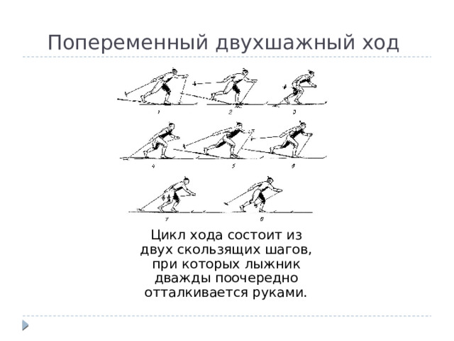  Попеременный двухшажный ход  Цикл хода состоит из двух скользящих шагов, при которых лыжник дважды поочередно отталкивается руками. 
