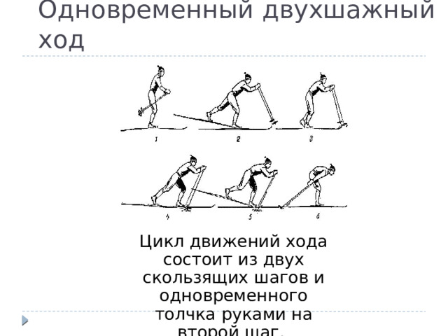 Одновременный двухшажный ход Цикл движений хода состоит из двух скользящих шагов и одновременного толчка руками на второй шаг.  