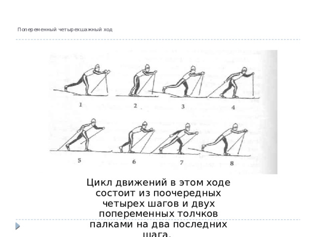    Попеременный четырехшажный ход Цикл движений в этом ходе состоит из поочередных четырех шагов и двух попеременных толчков палками на два последних шага. 