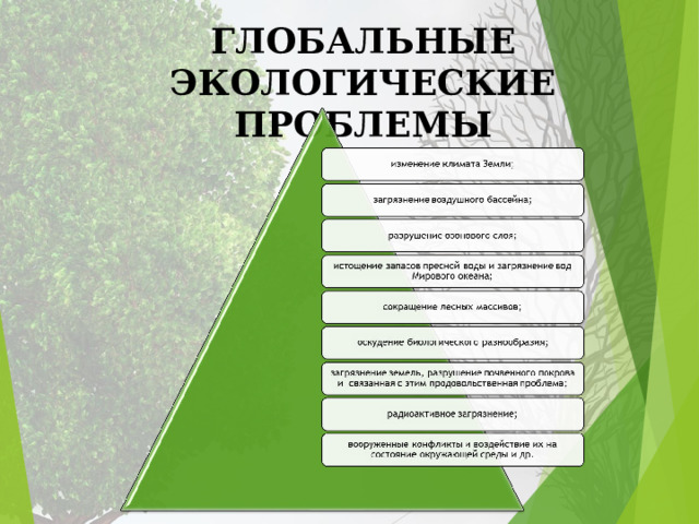 ГЛОБАЛЬНЫЕ ЭКОЛОГИЧЕСКИЕ ПРОБЛЕМЫ 