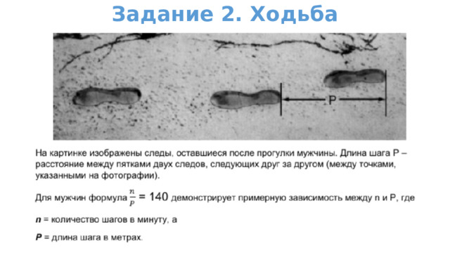 Задание 2. Ходьба 