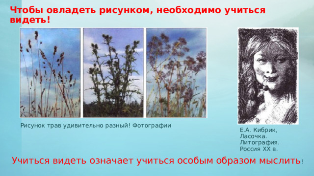 Чтобы овладеть рисунком, необходимо учиться видеть!  Рисунок трав удивительно разный! Фотографии Е.А. Кибрик, Ласочка. Литография. Россия XX в. Учиться видеть означает учиться особым образом мыслить ! 