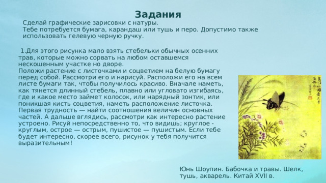 Задания Сделай графические зарисовки с натуры. Тебе потребуется бумага, карандаш или тушь и перо. Допустимо также использовать гелевую черную ручку.  1.Для этого рисунка мало взять стебельки обычных осенних трав, которые можно сорвать на любом оставшемся нескошенным участке но дворе. Положи растение с листочками и соцветием на белую бумагу перед собой. Рассмотри его и нарисуй. Расположи его на всем листе бумаги так, чтобы получилось красиво. Вначале наметь, как тянется длинный стебель, плавно или угловато изгибаясь, где и какое место займет колосок, или нарядный зонтик, или поникшая кисть соцветия, наметь расположение листочка. Первая трудность — найти соотношения величин основных частей. А дальше вглядись, рассмотри как интересно растение устроено. Рисуй непосредственно то, что видишь; круглое - круглым, острое — острым, пушистое — пушистым. Если тебе будет интересно, скорее всего, рисунок у тебя получится выразительным! Юнь Шоупин. Бабочка и травы. Шелк, тушь, акварель. Китай XVII в. 