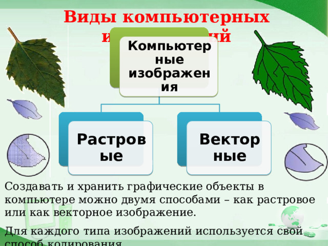 Виды компьютерных изображений Компьютерные изображения Растровые Векторные Создавать и хранить графические объекты в компьютере можно двумя способами – как растровое или как векторное изображение. Для каждого типа изображений используется свой способ кодирования. 