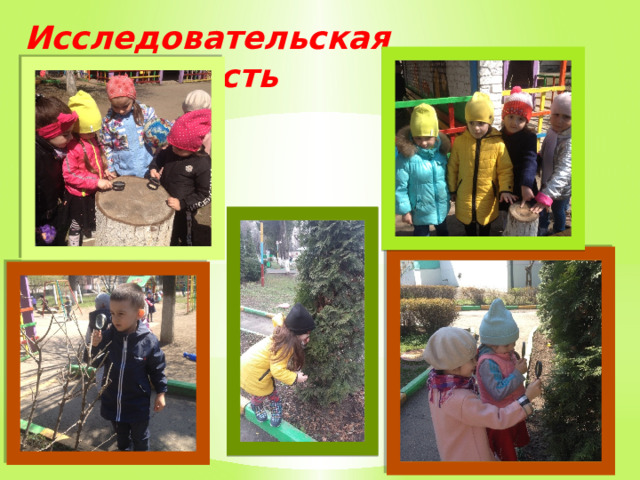 Исследовательская деятельность 