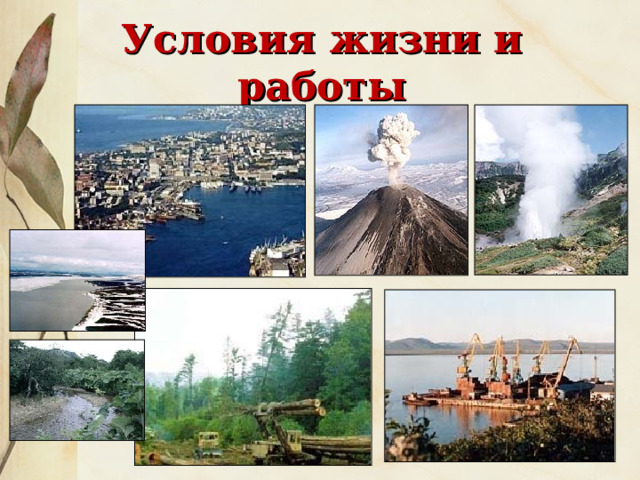 Условия жизни и работы 