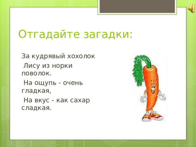 Отгадайте загадки: За кудрявый хохолок  Лису из норки поволок.  На ощупь - очень гладкая,  На вкус - как сахар сладкая. 