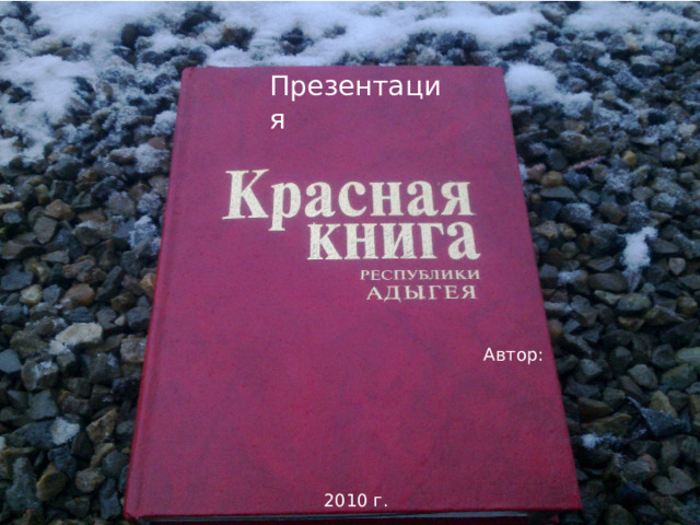 Презентация Автор: 2010 г. 