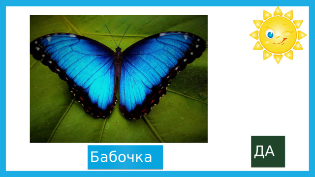 ДА Бабочка 