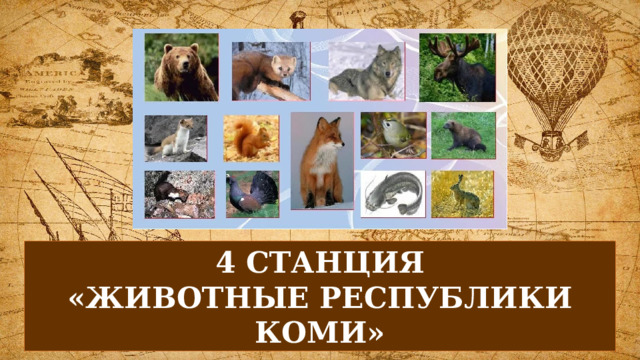 4 СТАНЦИЯ «ЖИВОТНЫЕ РЕСПУБЛИКИ КОМИ» 