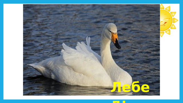 Лебедь 