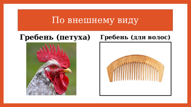 По внешнему виду Гребень (для волос) Гребень (петуха) 