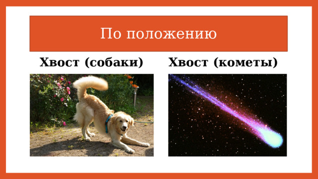 По положению Хвост (кометы) Хвост (собаки) 